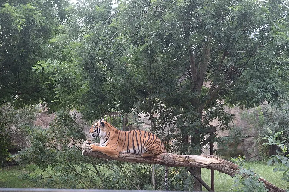 Prague Zoo